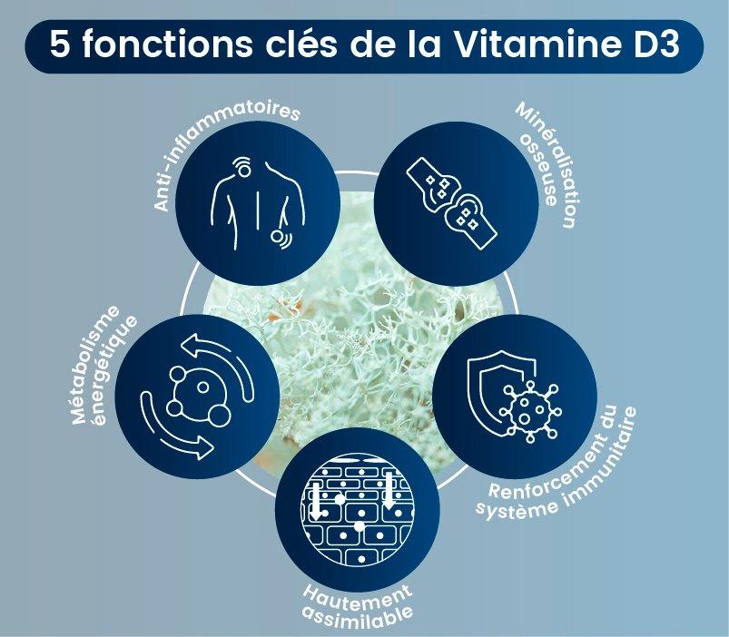 Fonction cles vitamine d3