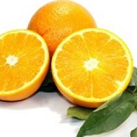 orange douce bio 1