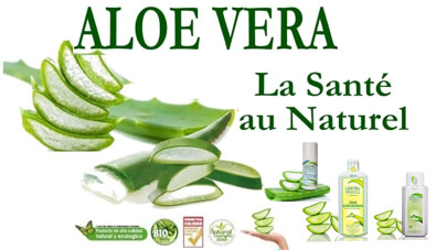 L'Aloe Vera -  La Santé au Naturel
