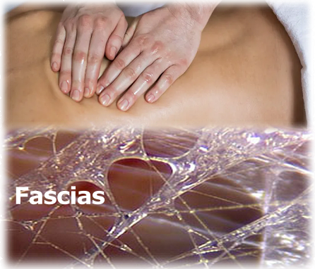 Massage fascia